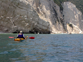 paddling with seagulls in west Kefalonia
